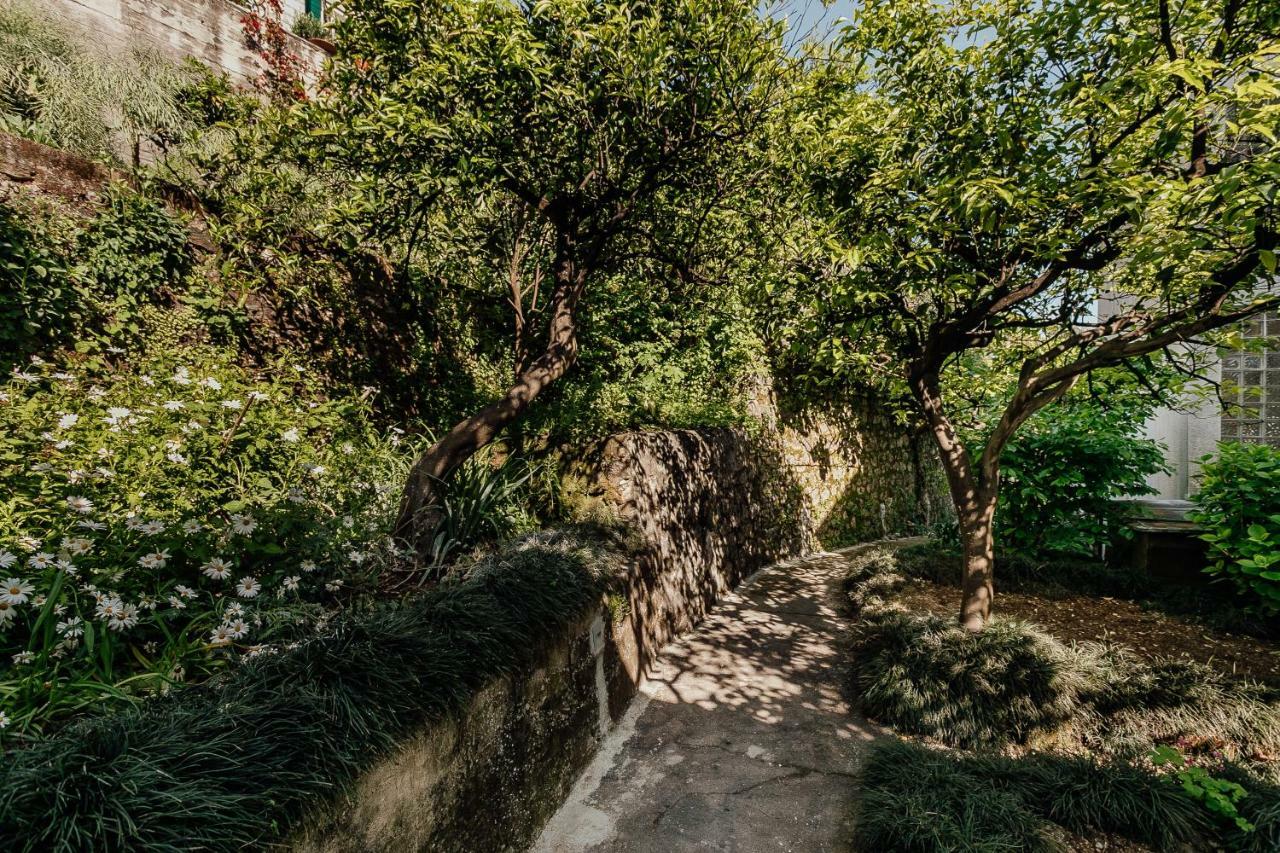 Boka Apartment 4 Herceg Novi Dış mekan fotoğraf
