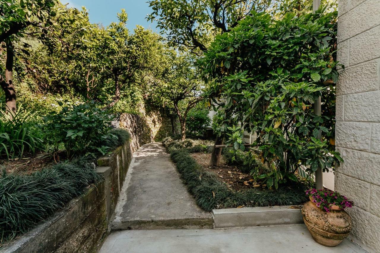 Boka Apartment 4 Herceg Novi Dış mekan fotoğraf